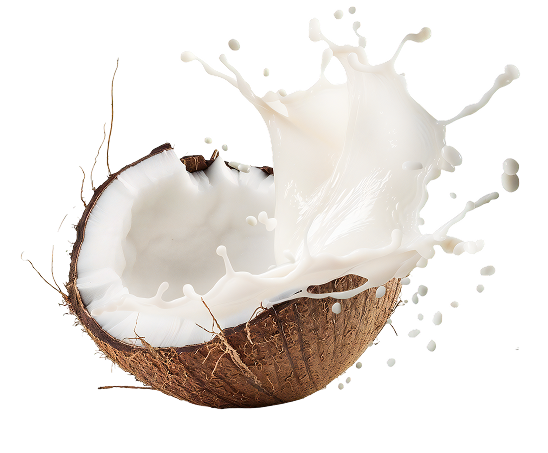 coco y leche