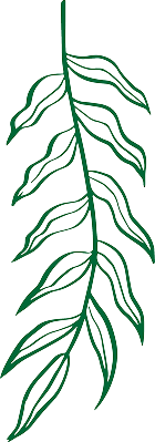 hoja verde decoración