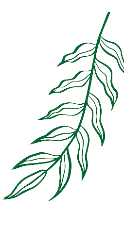 hoja decoración