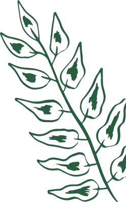 hoja verde