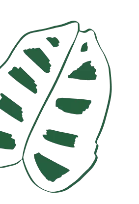 hoja verde